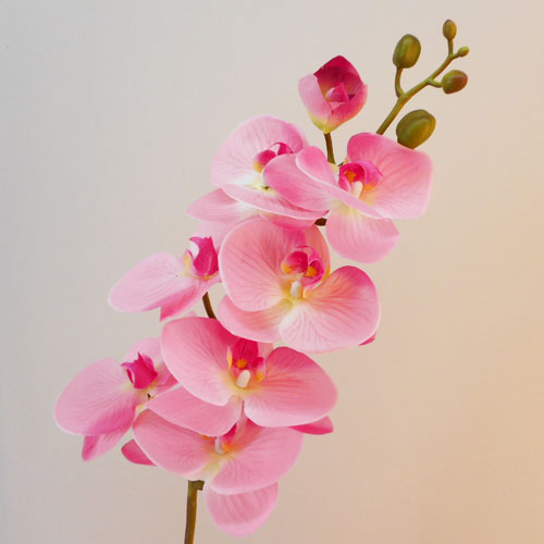 Real Touch Artificial Phalaenopsis Orchid Pink 99cm Artificial Flowers